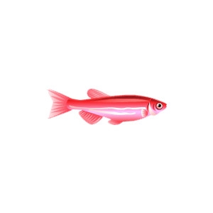 Red GloFish